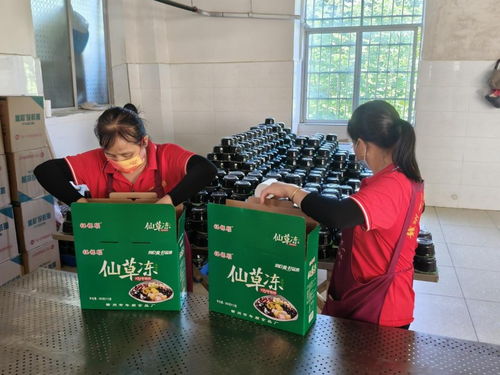 年順食品廠 守護(hù)贛南餐桌安全，共筑健康生活新未來